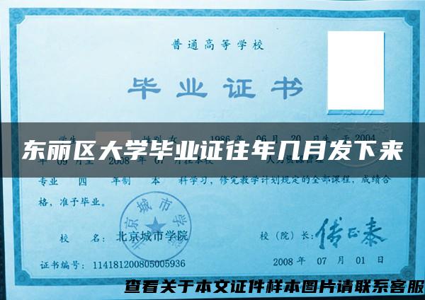 东丽区大学毕业证往年几月发下来