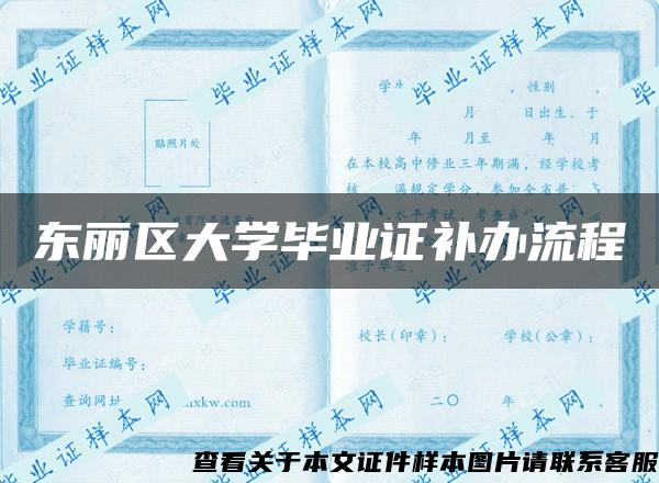 东丽区大学毕业证补办流程