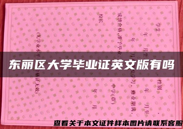 东丽区大学毕业证英文版有吗