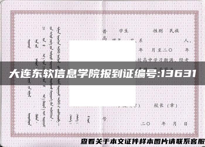 大连东软信息学院报到证编号:13631