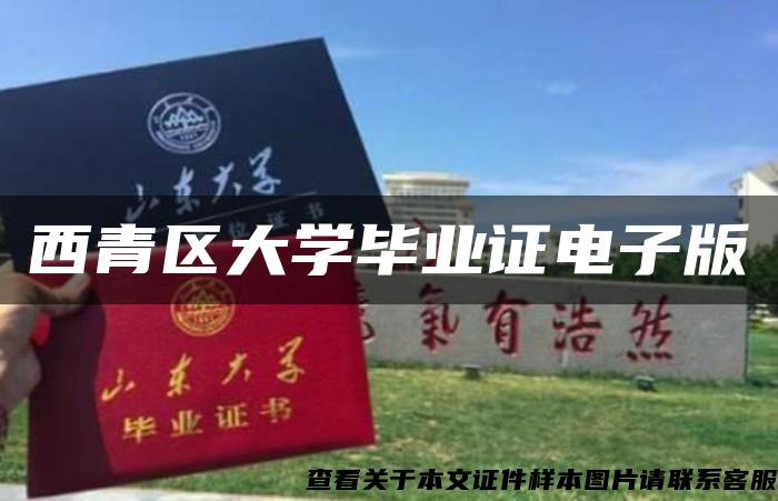 西青区大学毕业证电子版