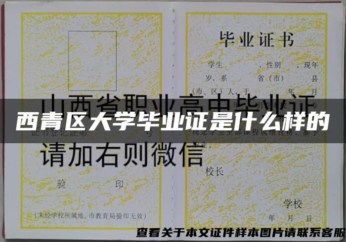 西青区大学毕业证是什么样的