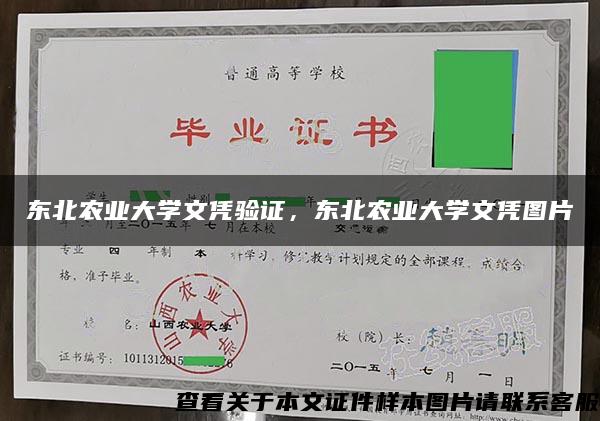 东北农业大学文凭验证，东北农业大学文凭图片