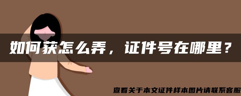 如何获怎么弄，证件号在哪里？