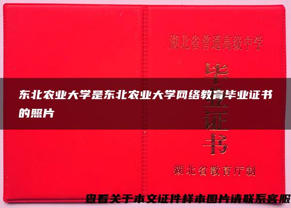 东北农业大学是东北农业大学网络教育毕业证书的照片