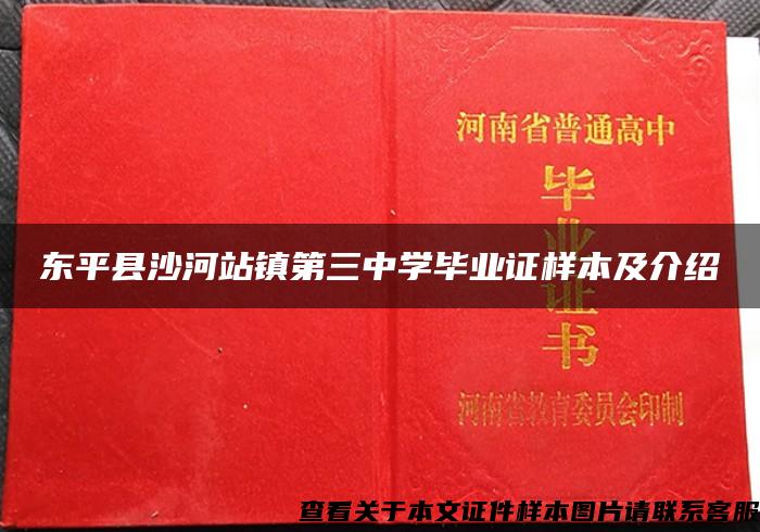 东平县沙河站镇第三中学毕业证样本及介绍