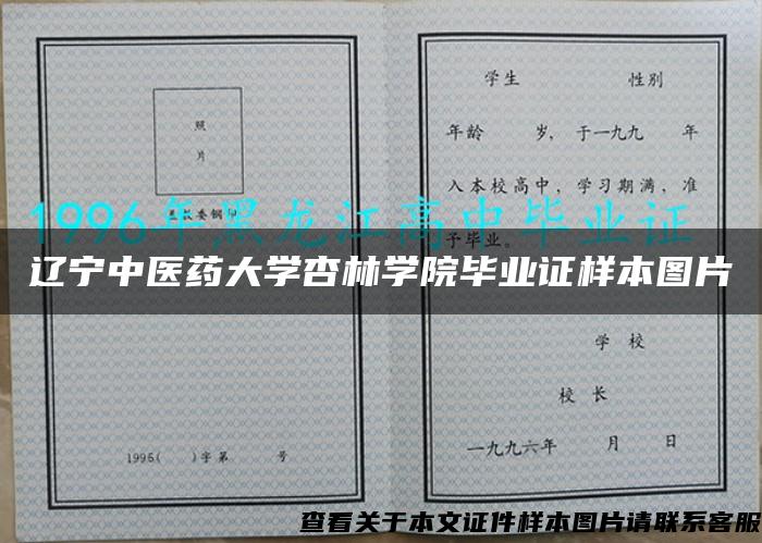 辽宁中医药大学杏林学院毕业证样本图片