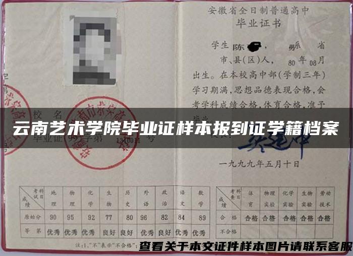 云南艺术学院毕业证样本报到证学籍档案