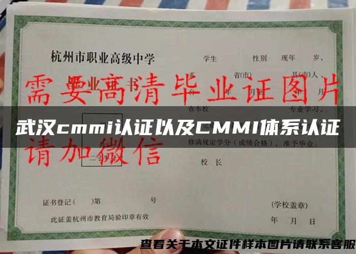 武汉cmmi认证以及CMMI体系认证