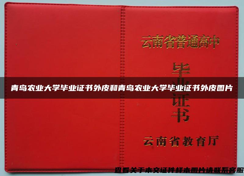 青岛农业大学毕业证书外皮和青岛农业大学毕业证书外皮图片