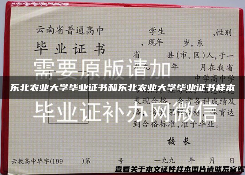 东北农业大学毕业证书和东北农业大学毕业证书样本