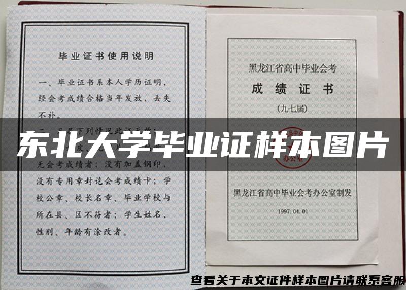 东北大学毕业证样本图片