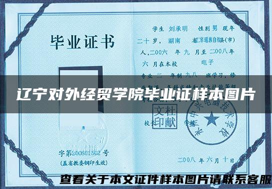 辽宁对外经贸学院毕业证样本图片