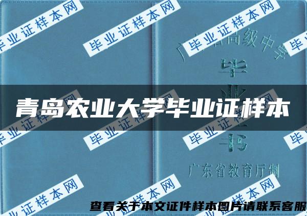 青岛农业大学毕业证样本