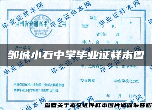 邹城小石中学毕业证样本图