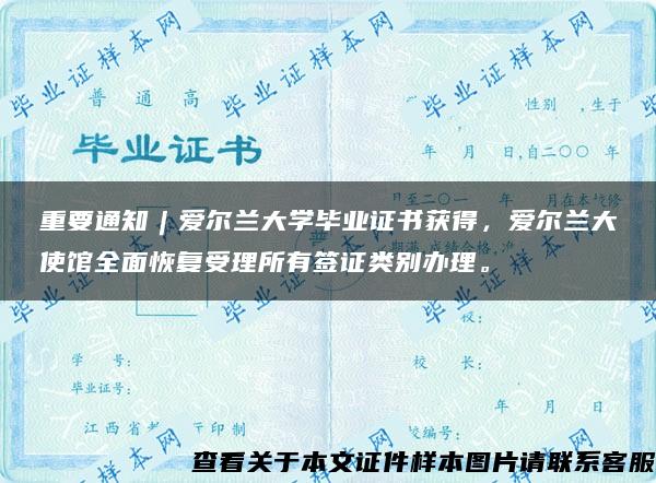 重要通知︱爱尔兰大学毕业证书获得，爱尔兰大使馆全面恢复受理所有签证类别办理。