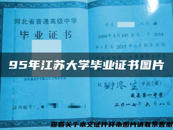 95年江苏大学毕业证书图片