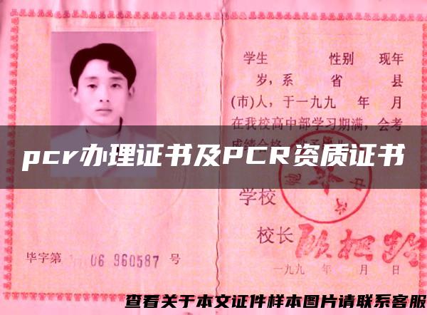 pcr办理证书及PCR资质证书