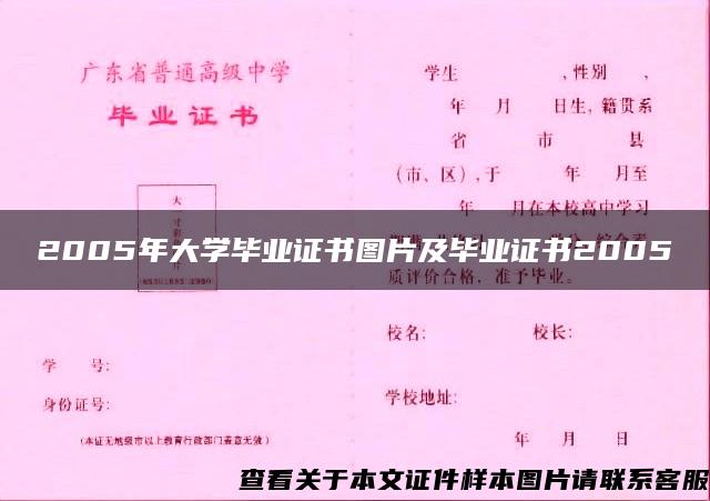 2005年大学毕业证书图片及毕业证书2005