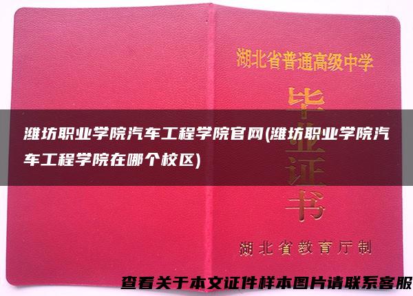 潍坊职业学院汽车工程学院官网(潍坊职业学院汽车工程学院在哪个校区)