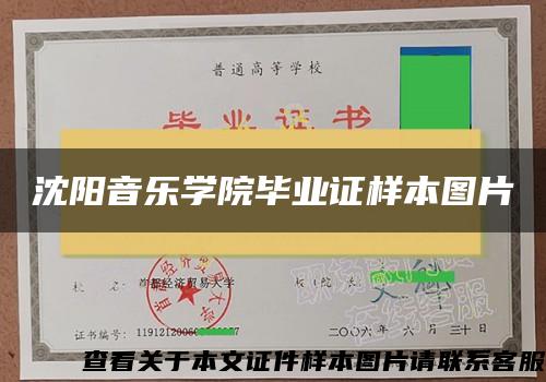 沈阳音乐学院毕业证样本图片