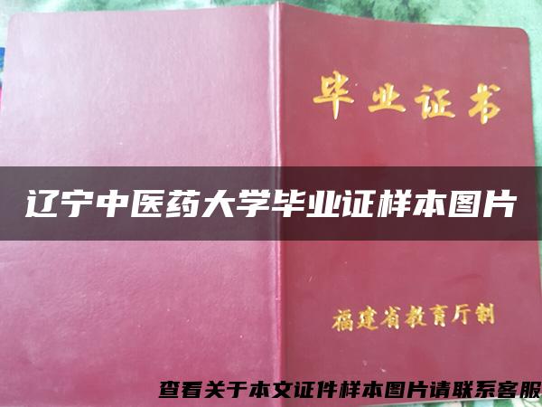 辽宁中医药大学毕业证样本图片