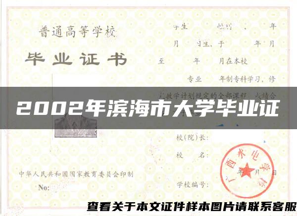 2002年滨海市大学毕业证