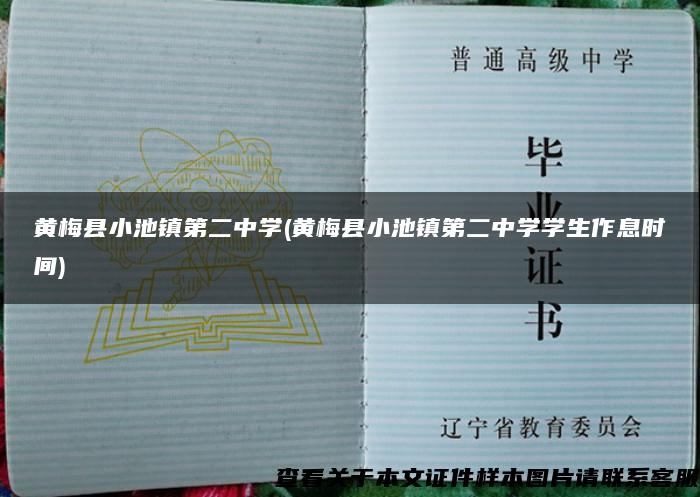 黄梅县小池镇第二中学(黄梅县小池镇第二中学学生作息时间)