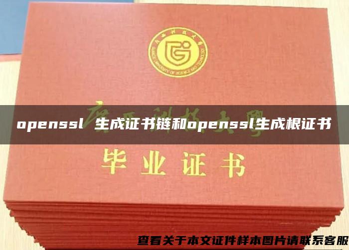 openssl 生成证书链和openssl生成根证书