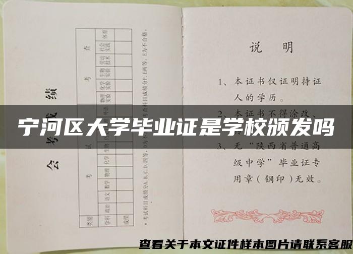 宁河区大学毕业证是学校颁发吗