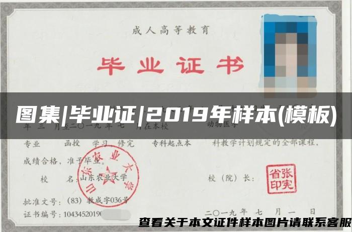 图集|毕业证|2019年样本(模板)