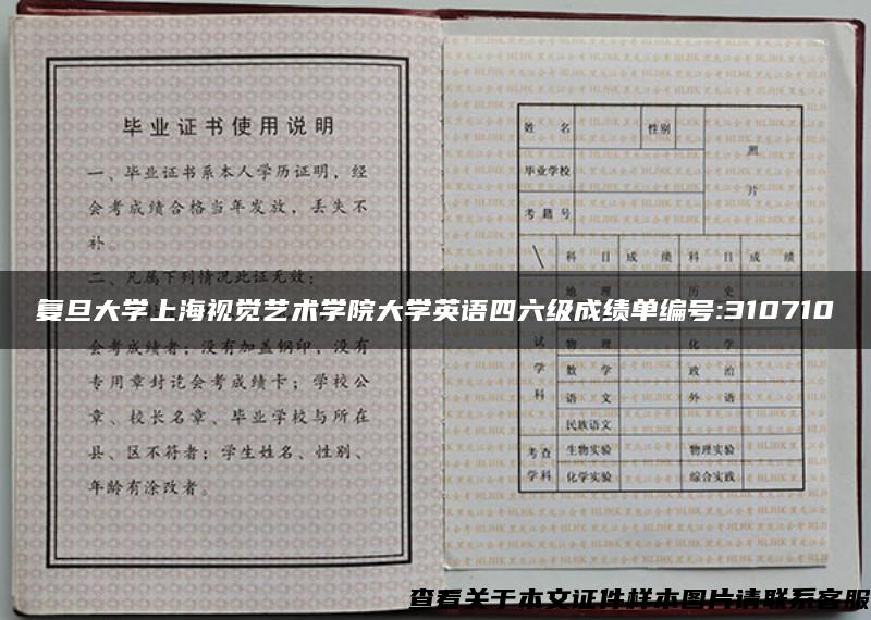 复旦大学上海视觉艺术学院大学英语四六级成绩单编号:310710