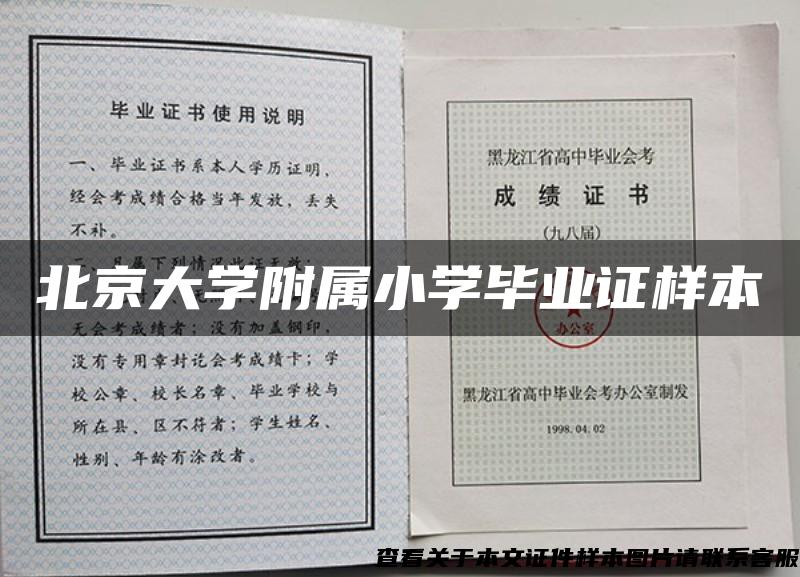 北京大学附属小学毕业证样本