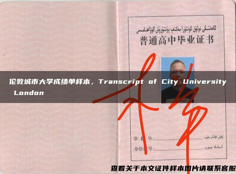 伦敦城市大学成绩单样本，Transcript of City University London