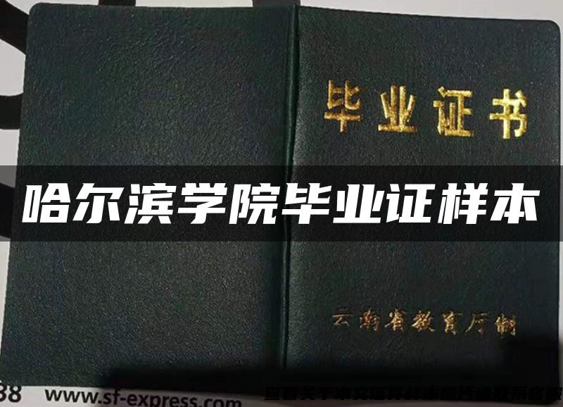 哈尔滨学院毕业证样本