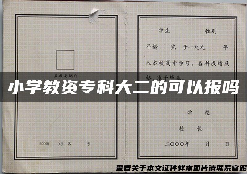 小学教资专科大二的可以报吗