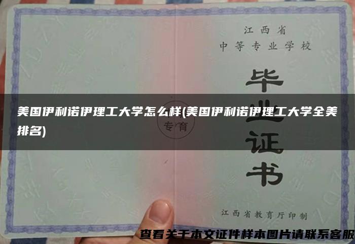 美国伊利诺伊理工大学怎么样(美国伊利诺伊理工大学全美排名)