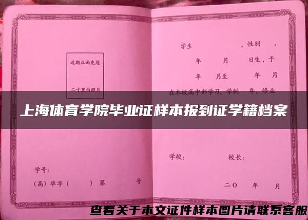 上海体育学院毕业证样本报到证学籍档案