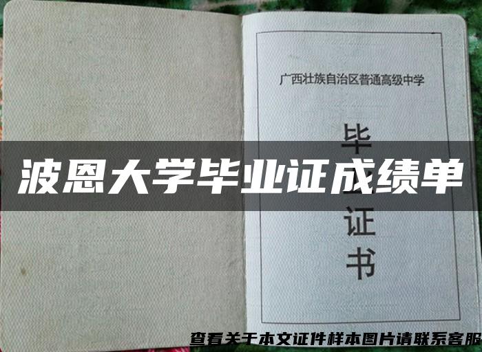 波恩大学毕业证成绩单