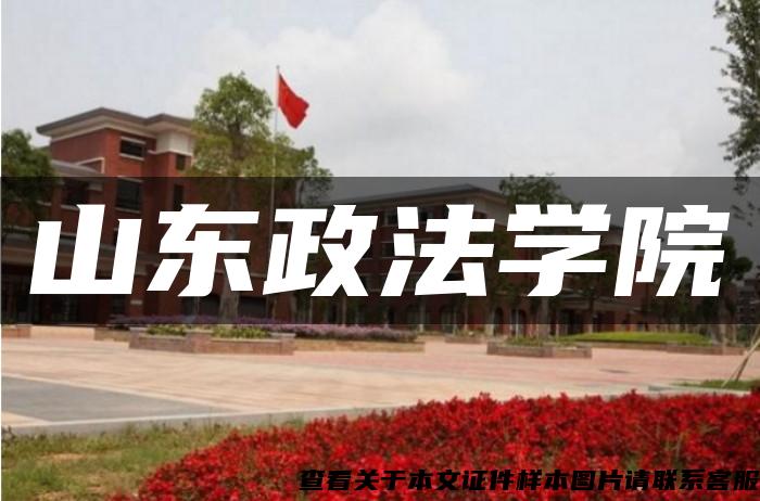 山东政法学院