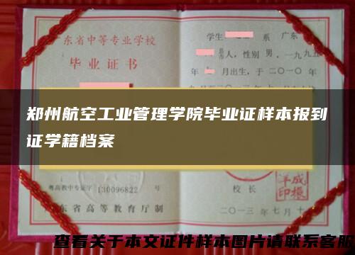 郑州航空工业管理学院毕业证样本报到证学籍档案