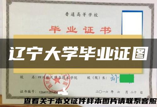 辽宁大学毕业证图