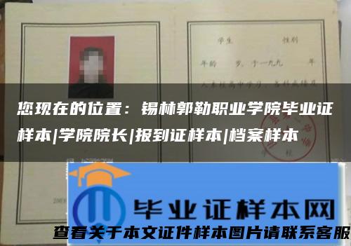 您现在的位置：锡林郭勒职业学院毕业证样本|学院院长|报到证样本|档案样本