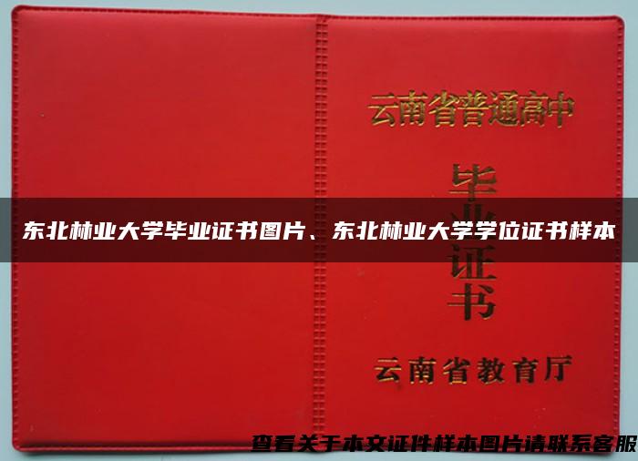 东北林业大学毕业证书图片、东北林业大学学位证书样本