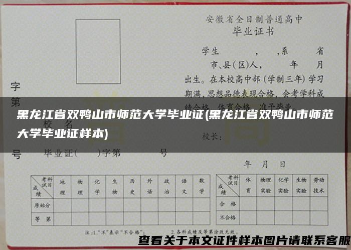 黑龙江省双鸭山市师范大学毕业证(黑龙江省双鸭山市师范大学毕业证样本)