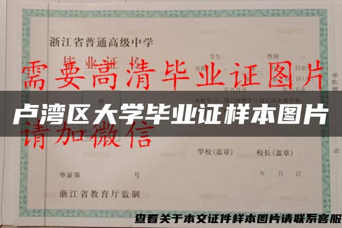 卢湾区大学毕业证样本图片