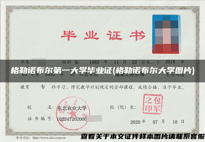 格勒诺布尔第一大学毕业证(格勒诺布尔大学图片)