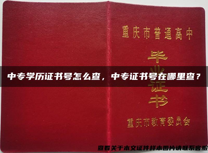 中专学历证书号怎么查，中专证书号在哪里查？