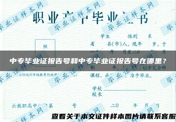 中专毕业证报告号和中专毕业证报告号在哪里？