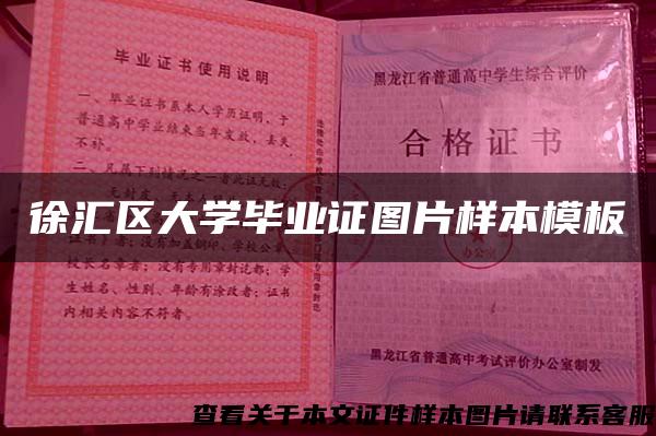 徐汇区大学毕业证图片样本模板